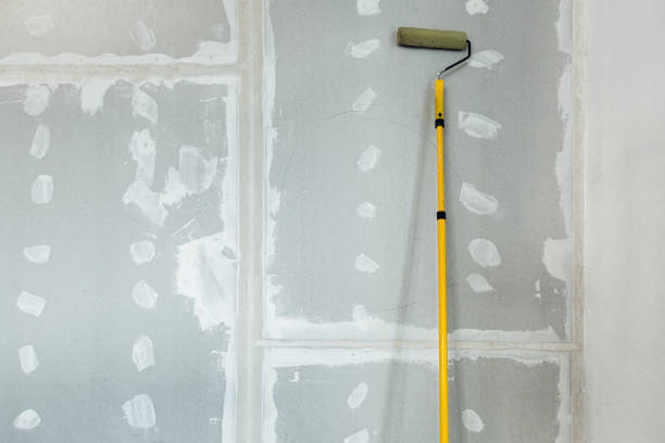 Best Attic Mold Removal  in Minster, OH