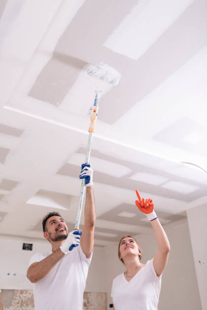 Best Mold Remediation for Healthcare Facilities  in Minster, OH