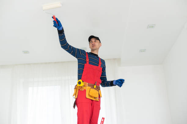 Best Biohazard Mold Removal  in Minster, OH