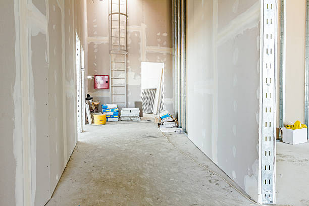 Best Water Damage & Mold Remediation  in Minster, OH